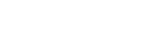 Логотип серый фотостудии Ракурс